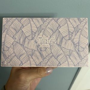 CIATE Editor Palette